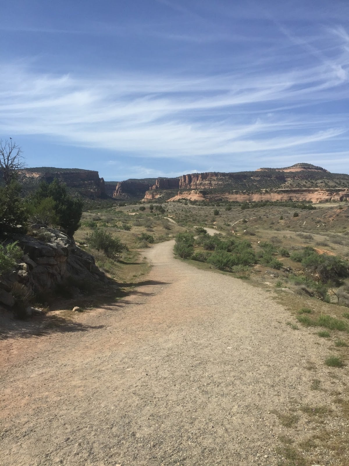 Camper submitted image from Fruita Section Camping — Colorado River - 3