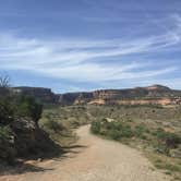Review photo of Fruita Section Camping — Colorado River by Aimee D., January 2, 2018