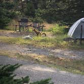 Review photo of Rising Sun Campground — Glacier National Park by Josh D., July 8, 2020