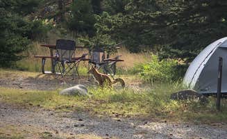 Josh D.'s photo at Rising Sun Campground — Glacier National Park near Browning, MT