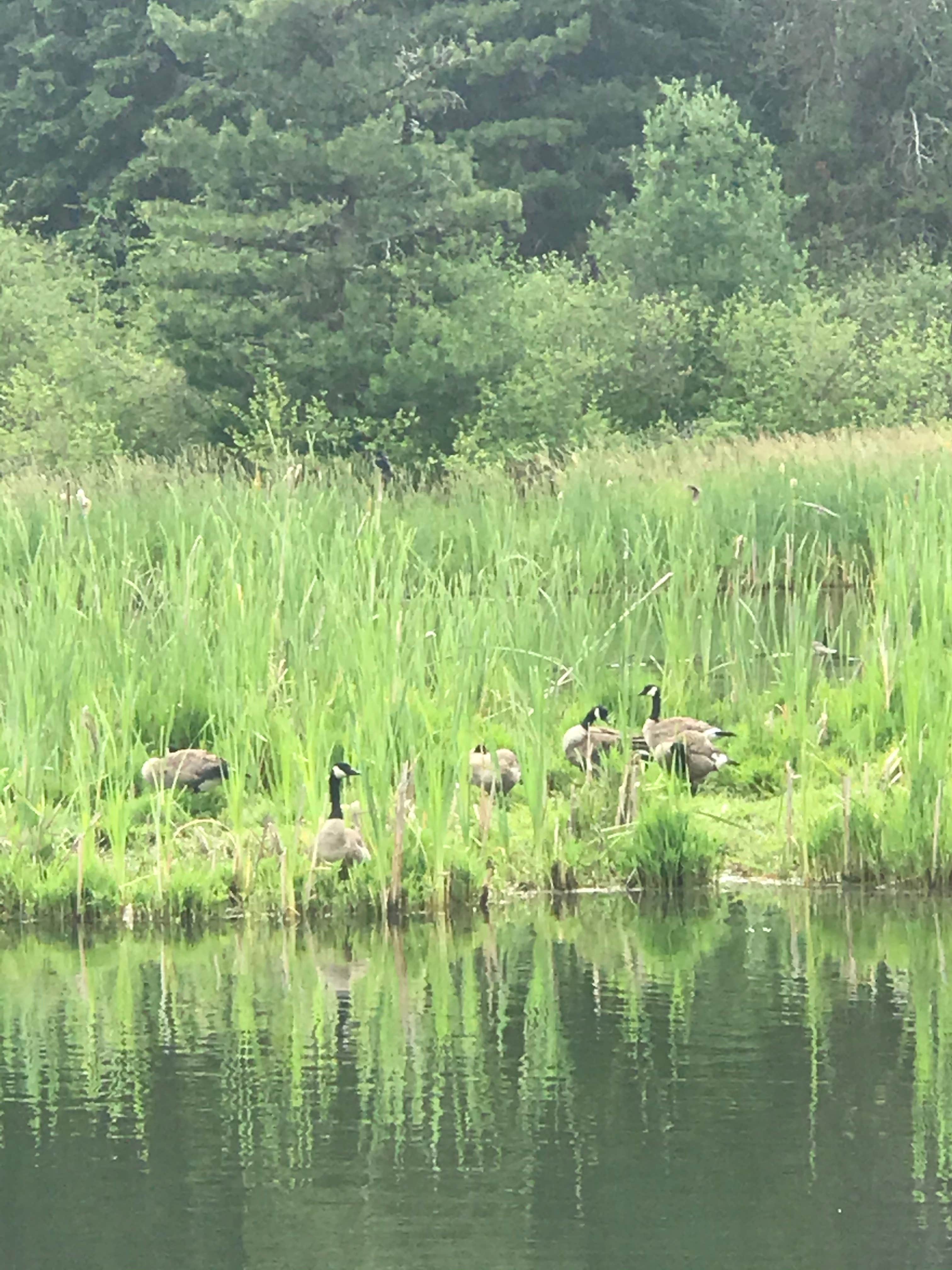 Camper-submitted photo at Spring Valley Reservoir near Moscow, ID