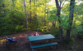 Amy G.'s photo at Goldie the Caboose in the Woods near Wadena, MN
