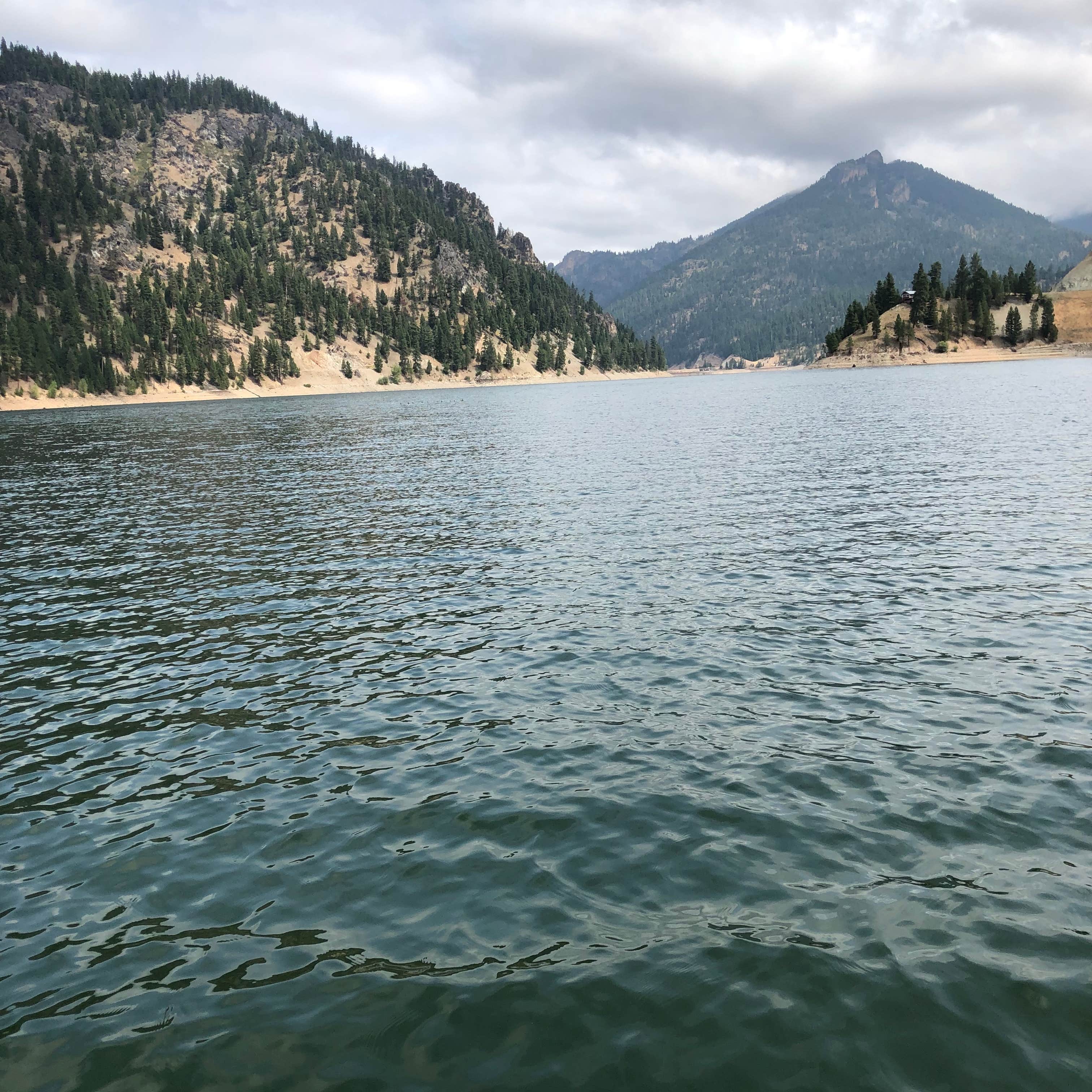 Water