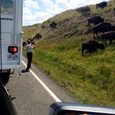 Review photo of Indian Creek Campground — Yellowstone National Park by Josh D., July 8, 2020