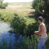 Review photo of Lake Mcconauhgy Cedar Vue Campground by Charles C., July 8, 2020