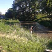 Review photo of Lake Mcconauhgy Cedar Vue Campground by Charles C., July 8, 2020