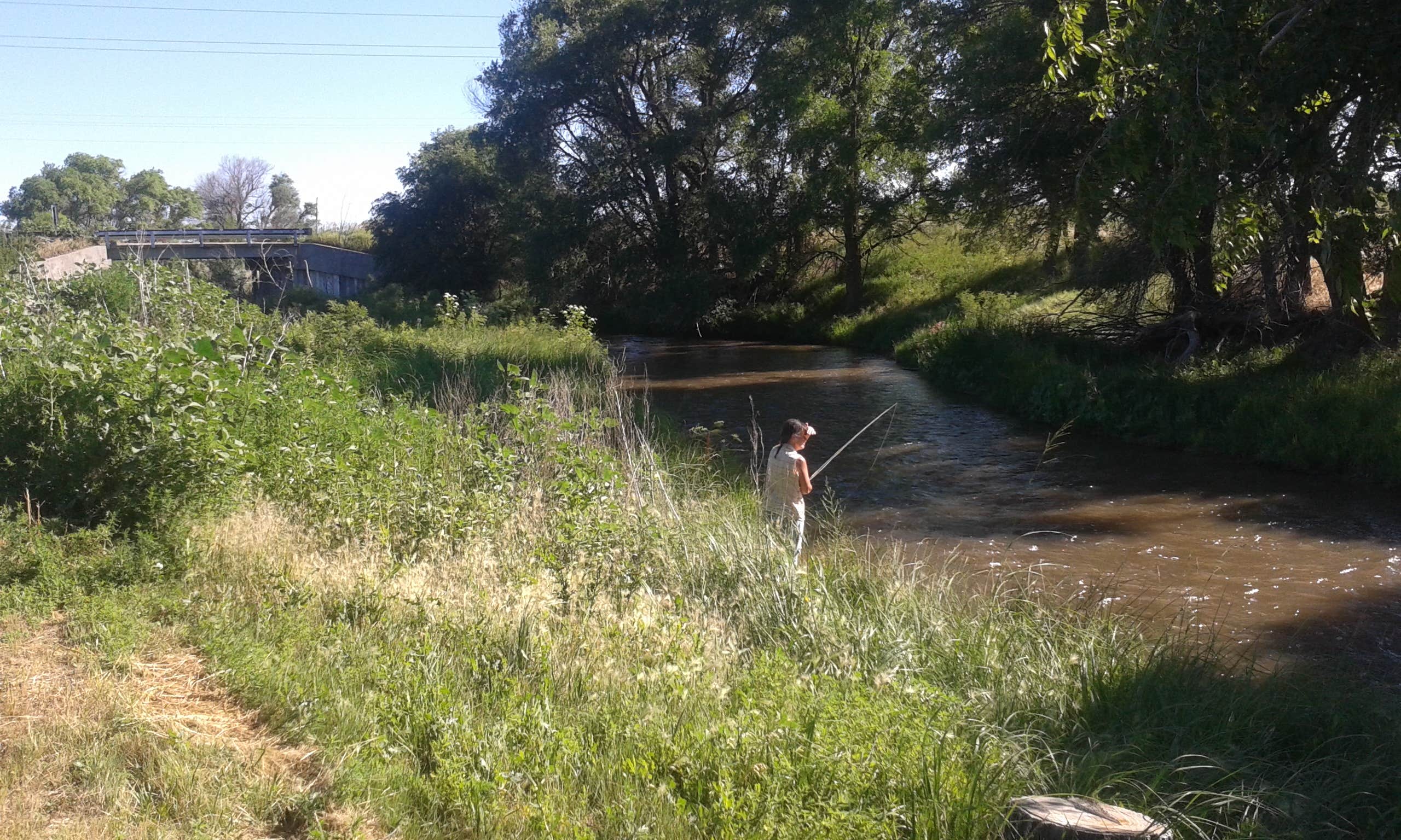 Camper submitted image from Lake Mcconauhgy Cedar Vue Campground - 2