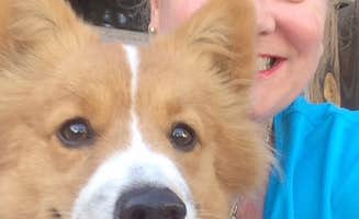 Debra R.'s photo of camping with pets at Big Oaks RV Resort near Trilby, FL