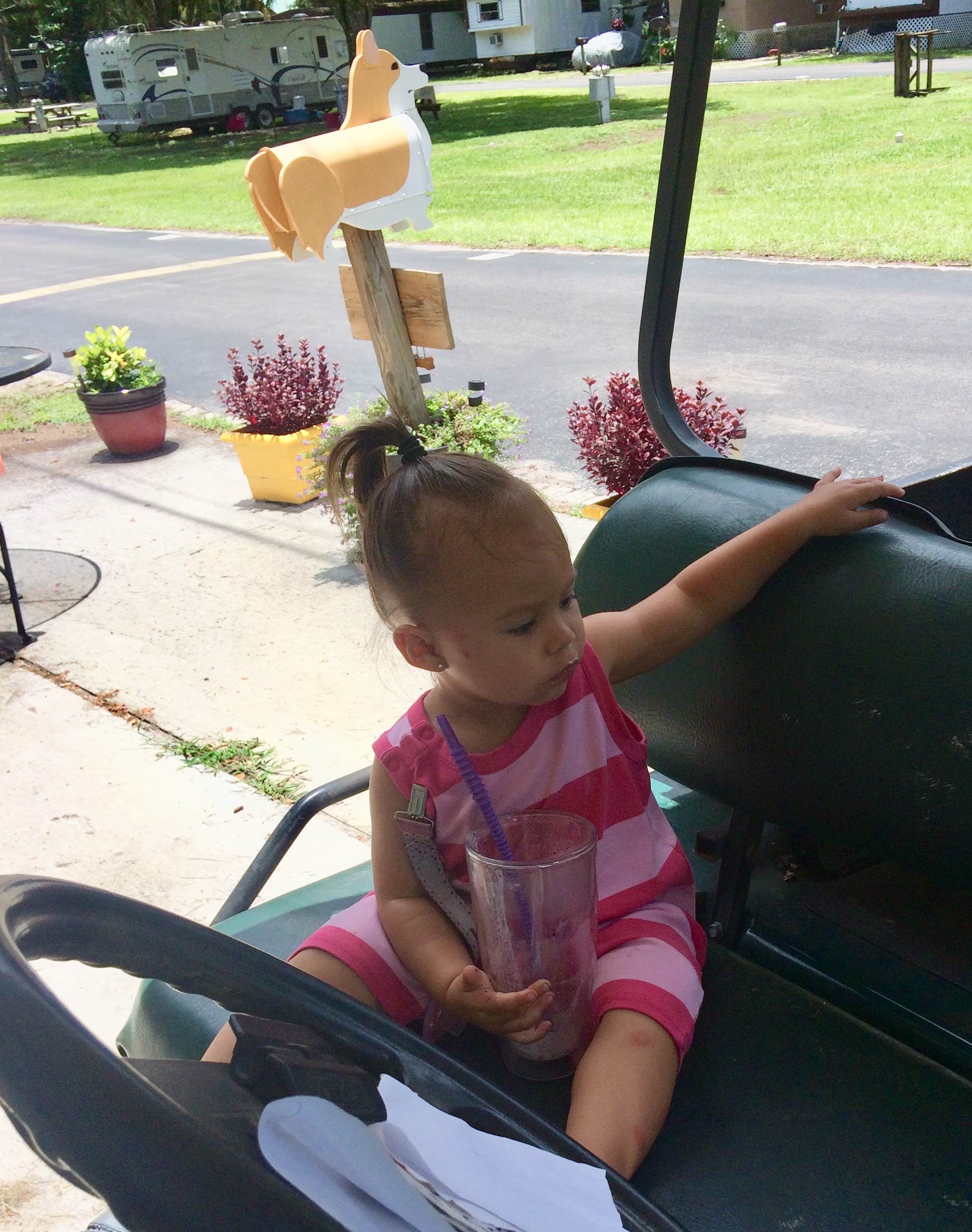 Camper-submitted photo at Big Oaks RV Resort near Land O' Lakes, FL