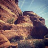 Review photo of Fruita Section Camping — Colorado River by Aimee D., January 2, 2018