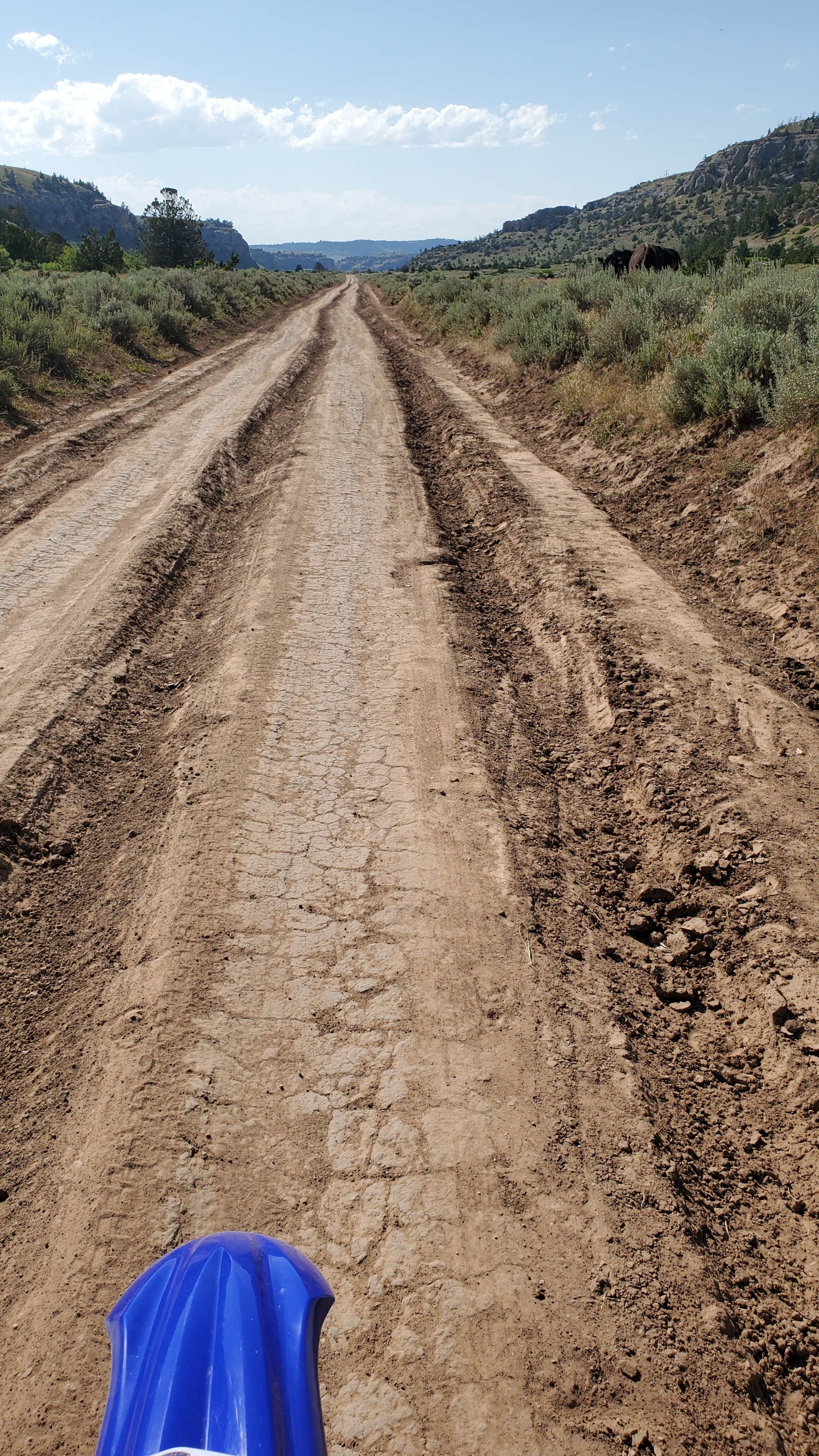 Camper submitted image from Sage Creek Campground - 3