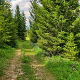 Review photo of Sage Creek Campground by Jesse R., July 8, 2020