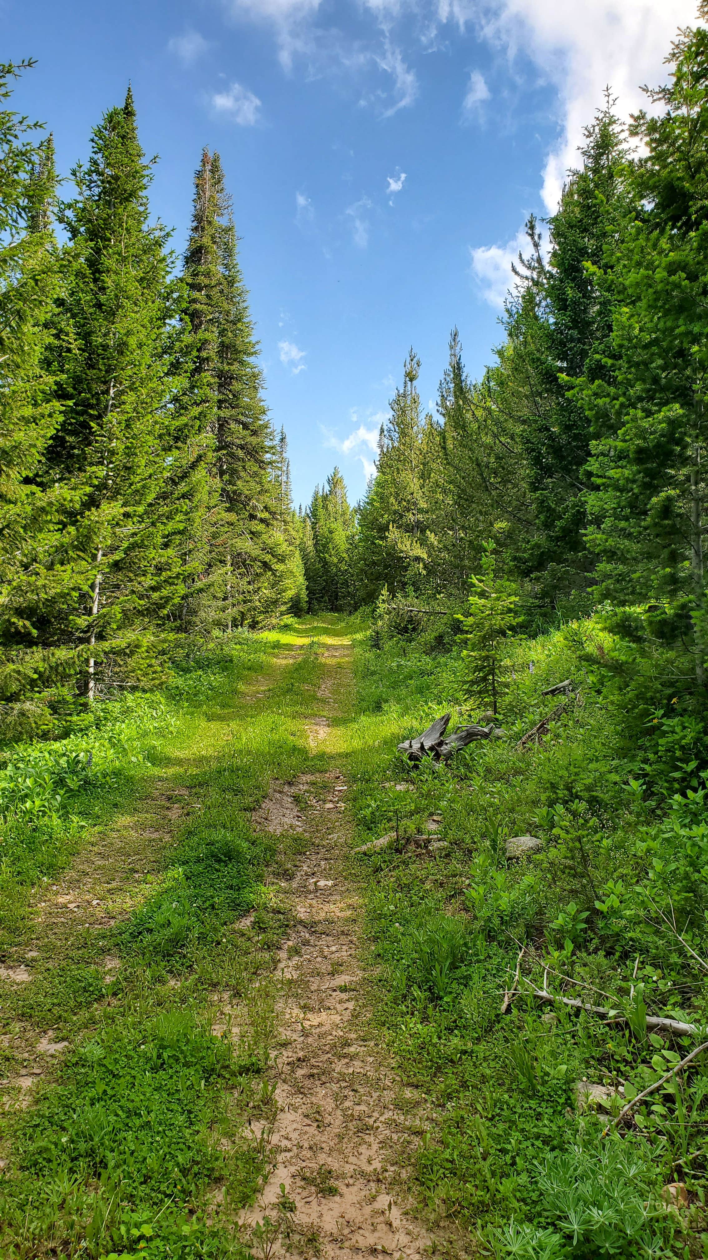 Camper submitted image from Sage Creek Campground - 4