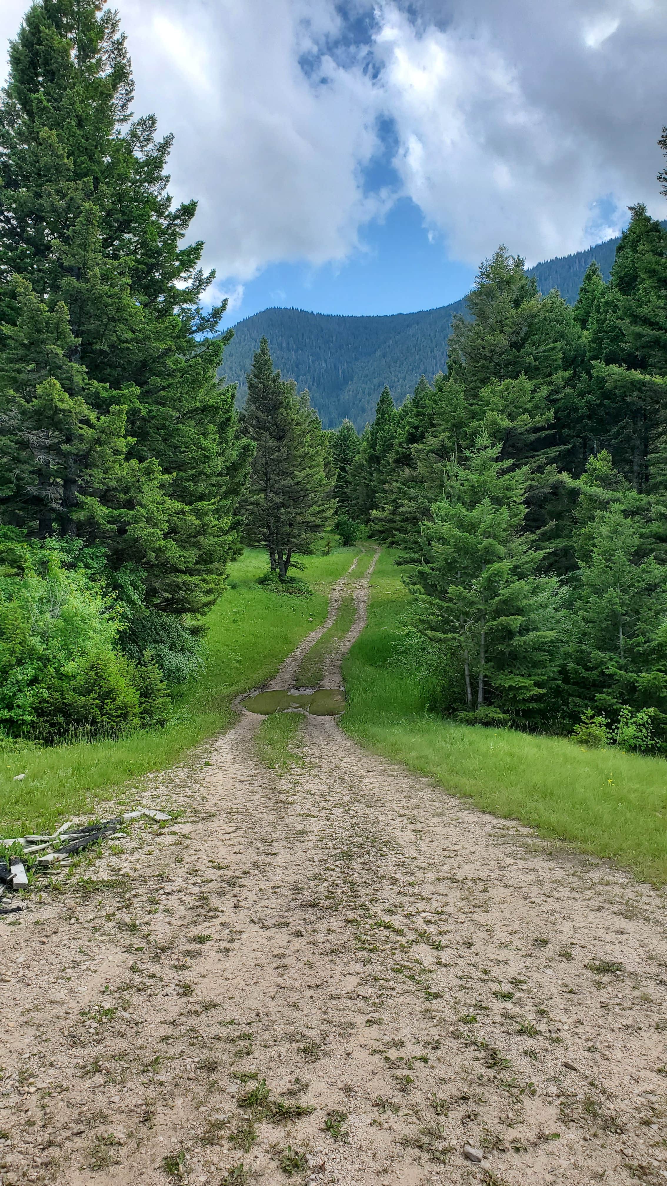 Camper-submitted photo at Sage Creek Campground near Pryor, MT