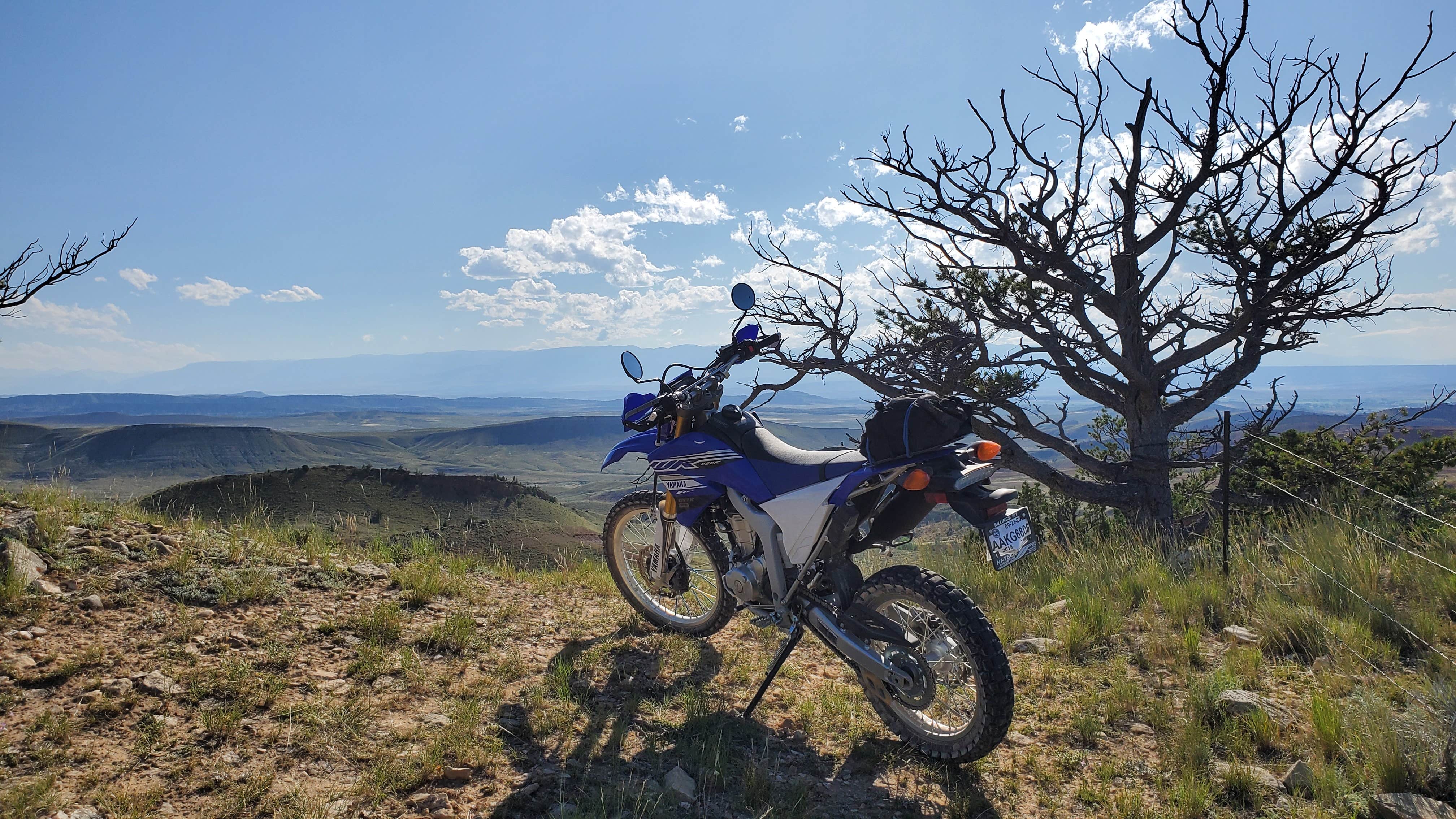 Camper submitted image from Sage Creek Campground - 1