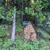 Review photo of Tahoe National Forest Onion Valley Campground by Adam B., July 8, 2020