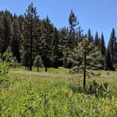 Review photo of Tahoe National Forest Onion Valley Campground by Adam B., July 8, 2020