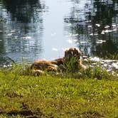 Review photo of Sycamore Springs Park by Barry B., July 8, 2020