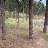 Review photo of Pactola Reservoir Campground by Ryan M., September 14, 2018