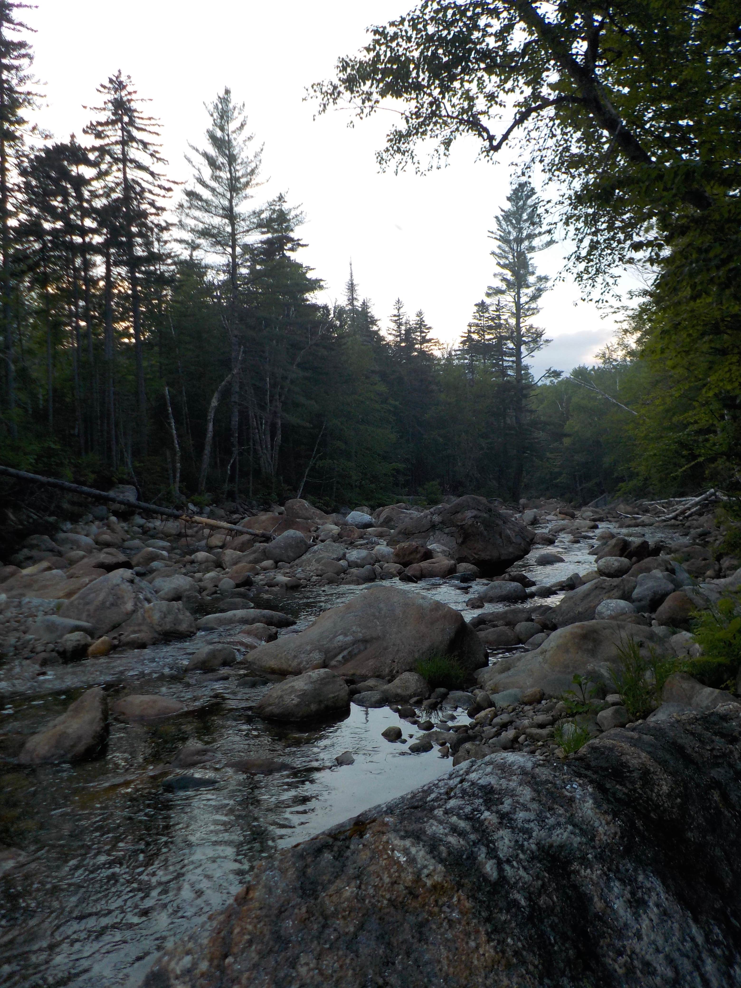 Camper submitted image from Wild River Wilderness Area - 5