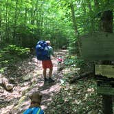 Review photo of Wild River Wilderness Area by Sarah C., July 8, 2020