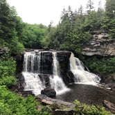 Review photo of Blackwater Falls State Park Campground by MomSolo , July 8, 2020