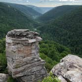 Review photo of Blackwater Falls State Park Campground by MomSolo , July 8, 2020