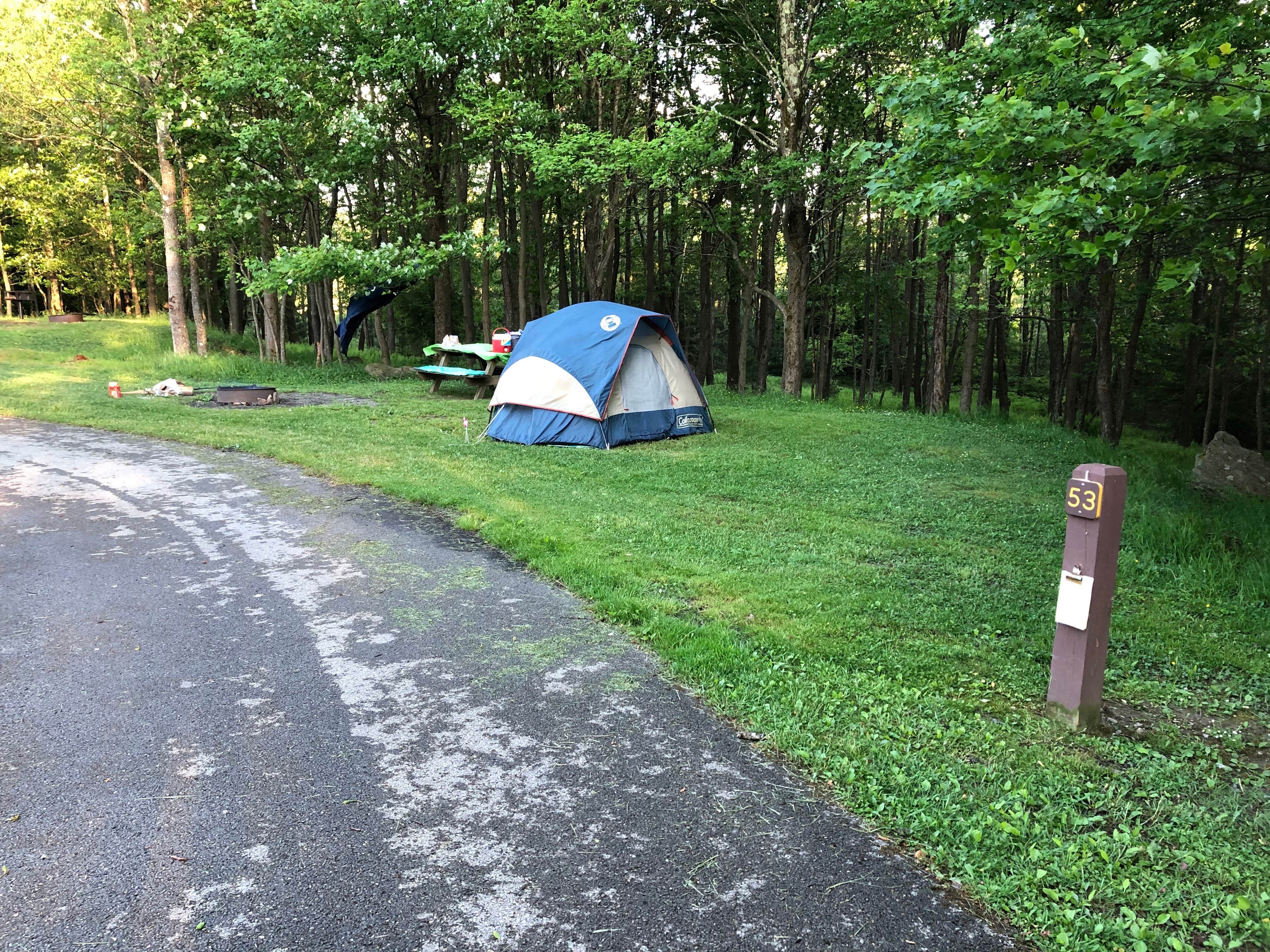 MomSolo's photo at Blackwater Falls State Park Campground in West Virginia