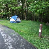 Review photo of Blackwater Falls State Park Campground by MomSolo , July 8, 2020