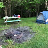 Review photo of Blackwater Falls State Park Campground by MomSolo , July 8, 2020