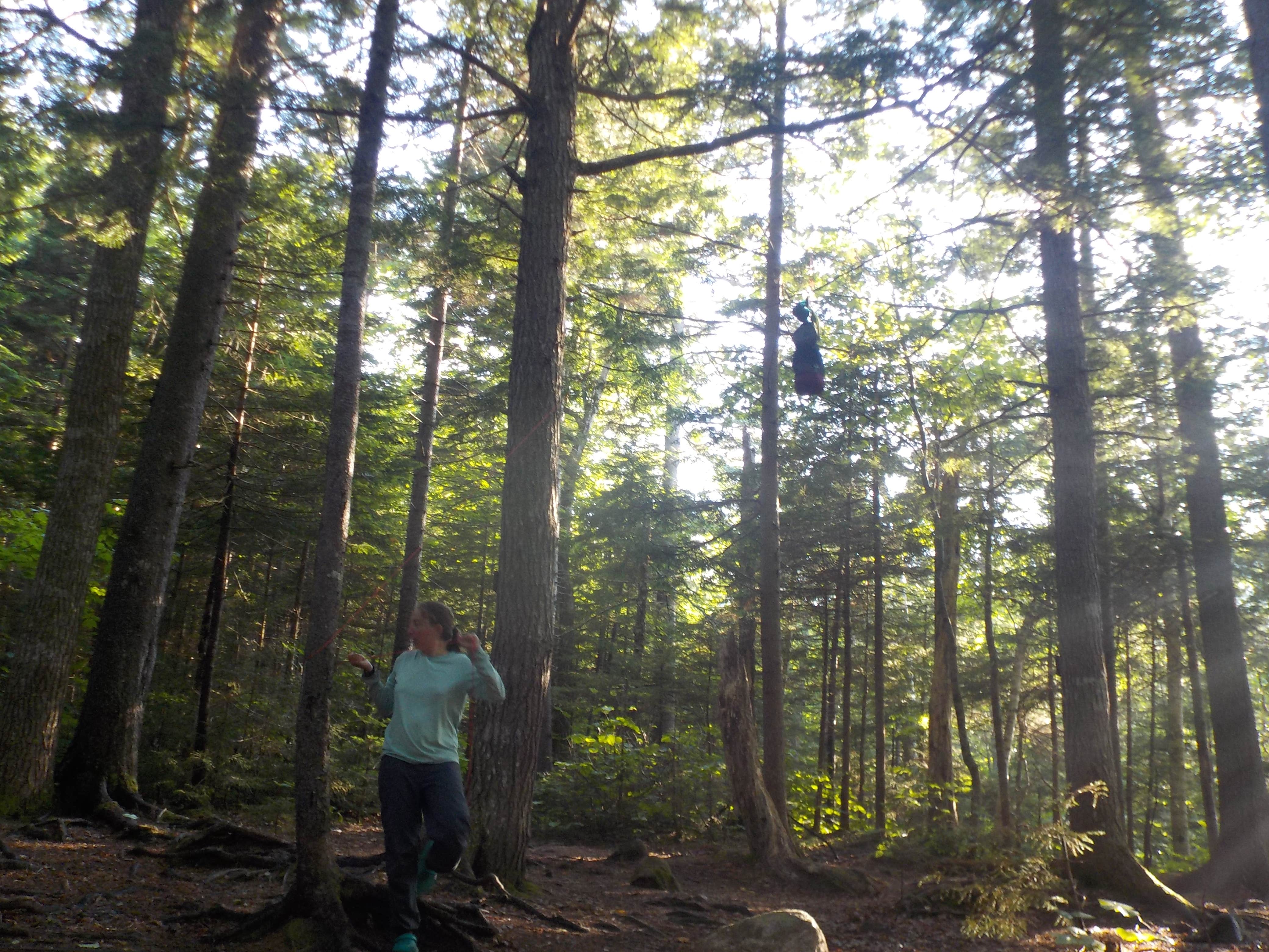 Camper submitted image from Blue Brook Tent Site - 4
