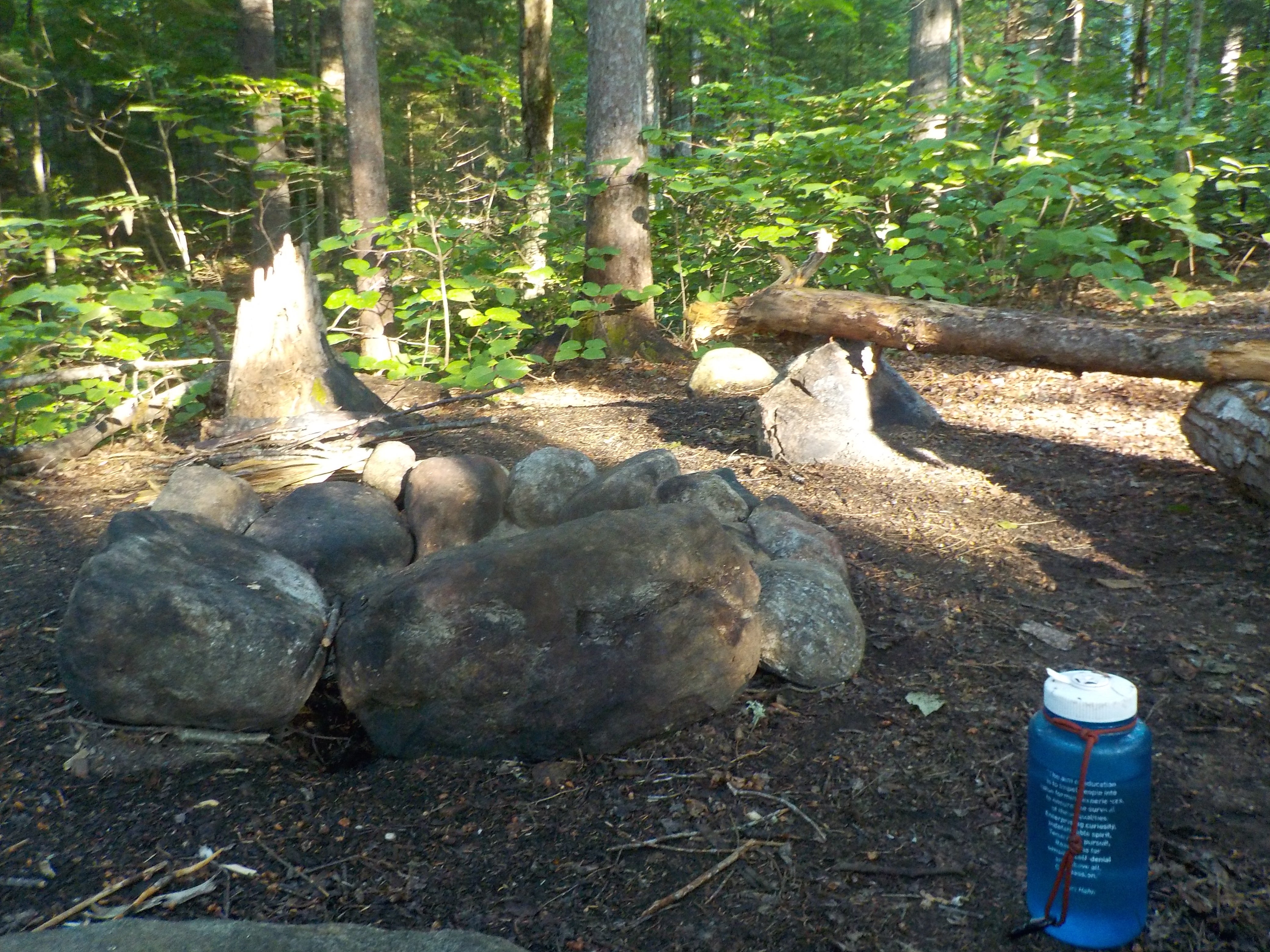 Camper submitted image from Blue Brook Tent Site - 2