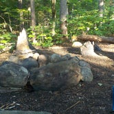 Review photo of Blue Brook Tent Site by Sarah C., July 8, 2020