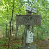 Review photo of Blue Brook Tent Site by Sarah C., July 8, 2020