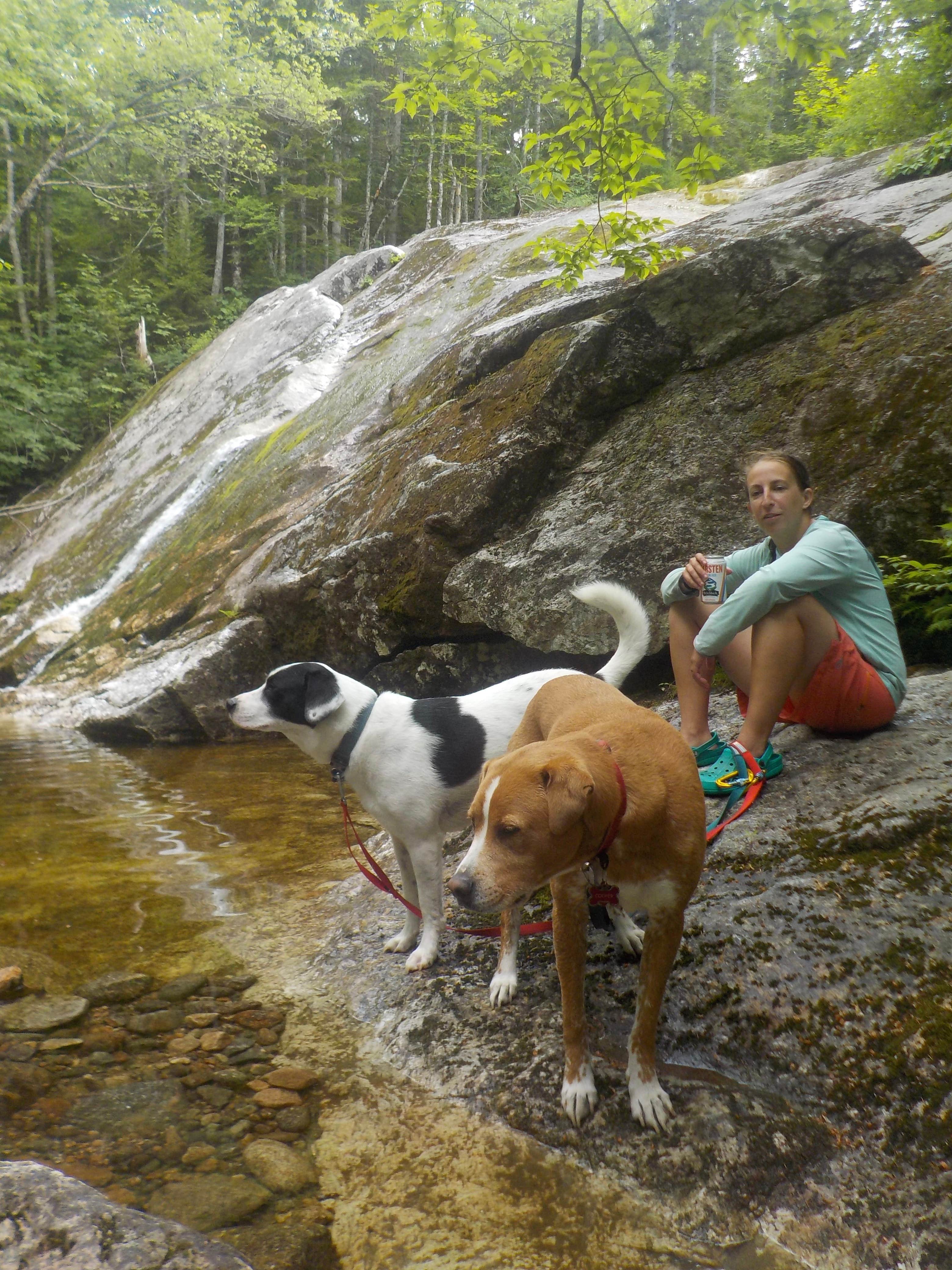 Sarah C.'s photo of camping with pets at Blue Brook Tent Site near Randolph, NH