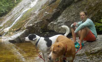 Sarah C.'s photo of camping with pets at Blue Brook Tent Site in New Hampshire