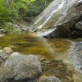 Review photo of Blue Brook Tent Site by Sarah C., July 8, 2020