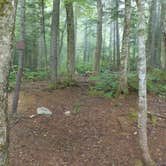 Review photo of Blue Brook Tent Site by Sarah C., July 8, 2020