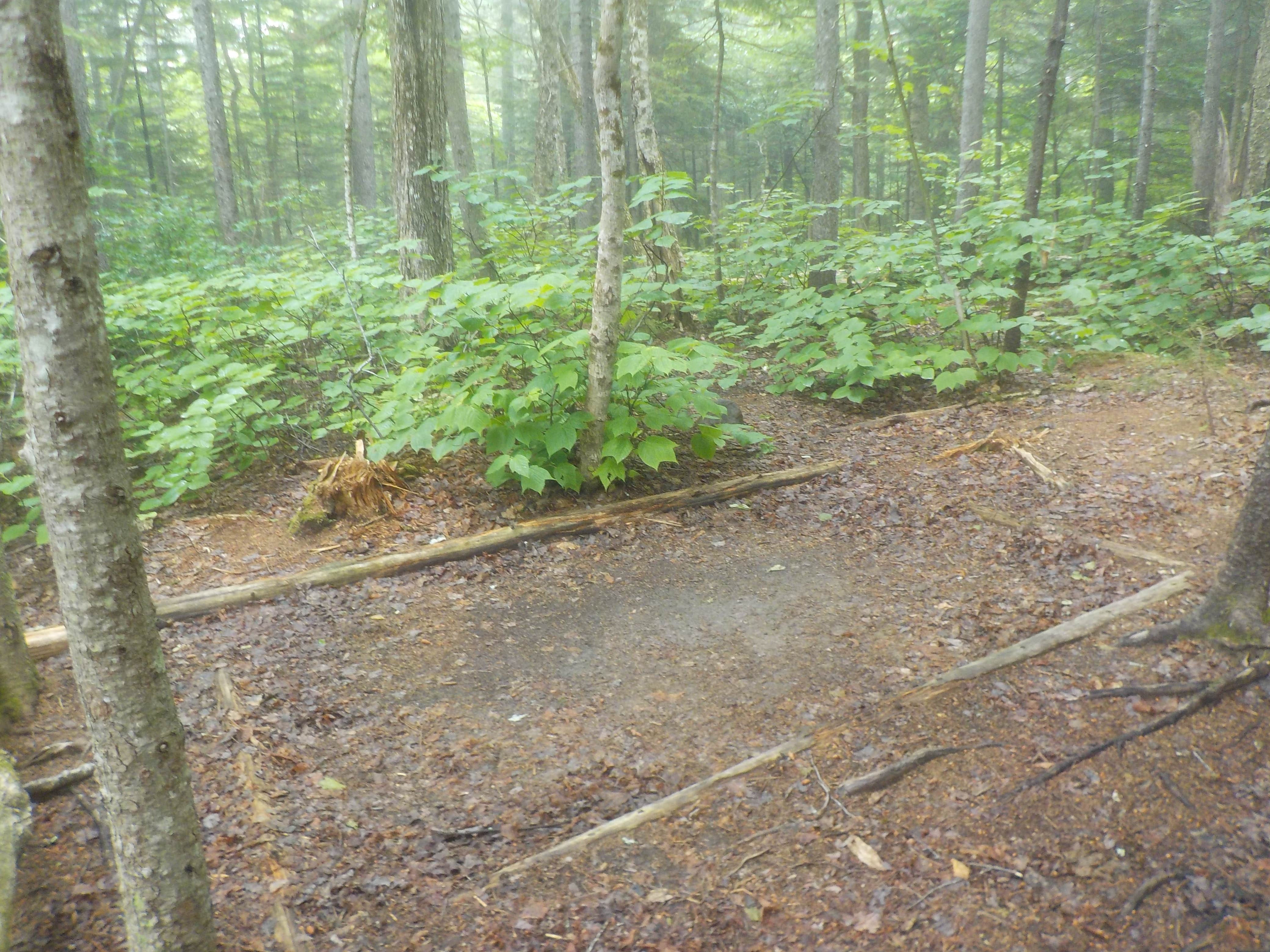 Camper-submitted photo at Blue Brook Tent Site near Peru, ME