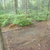 Review photo of Blue Brook Tent Site by Sarah C., July 8, 2020