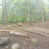 Review photo of Blue Brook Tent Site by Sarah C., July 8, 2020