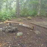 Review photo of Blue Brook Tent Site by Sarah C., July 8, 2020