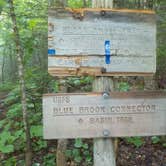 Review photo of Blue Brook Tent Site by Sarah C., July 8, 2020