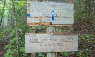 Camping near Cold River: Blue Brook Tent Site, Chatham, New Hampshire