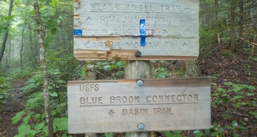 Blue Brook Tent Site