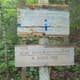 Blue Brook Tent Site
