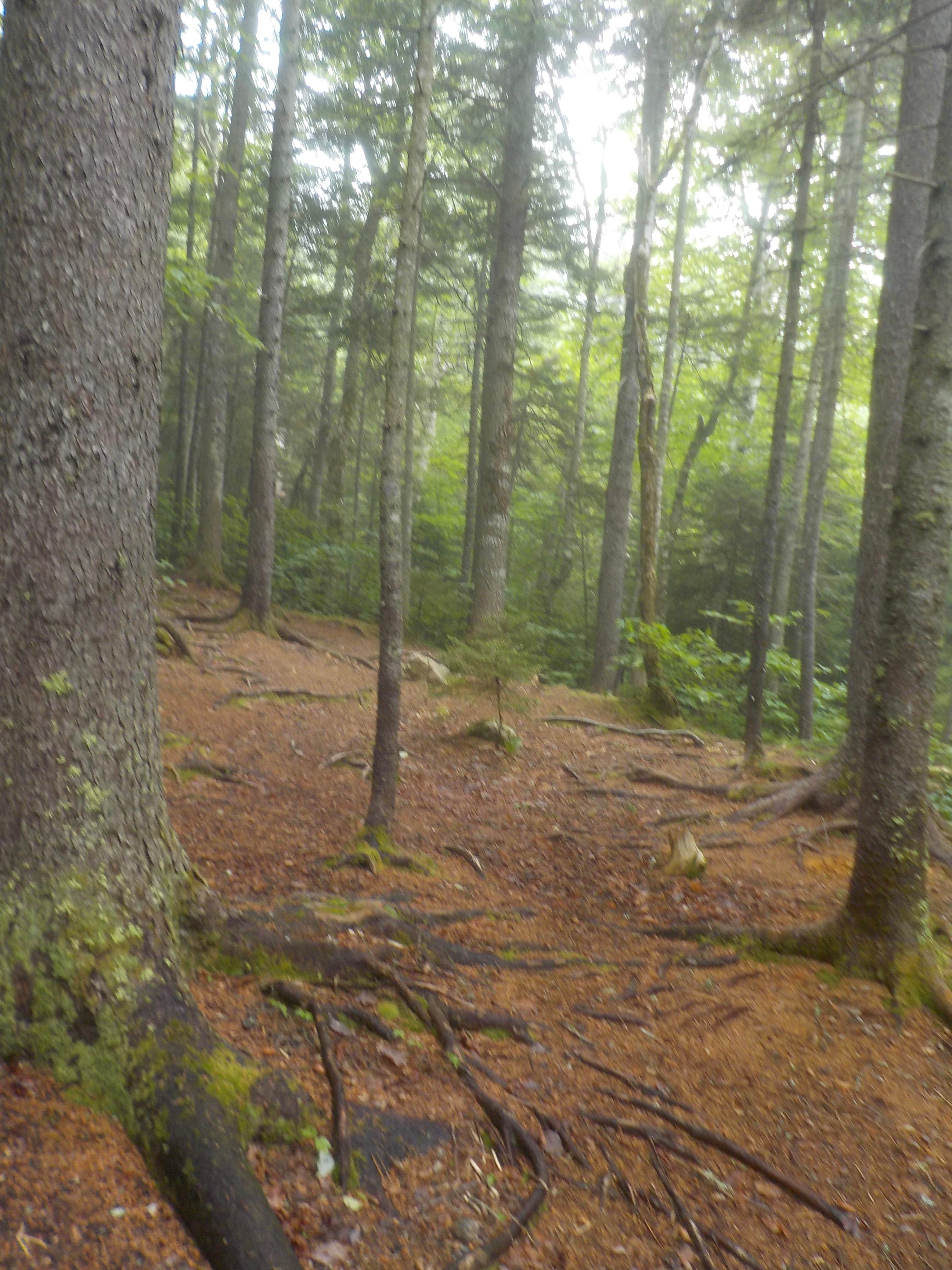 Camper-submitted photo at Blue Brook Tent Site near Peru, ME