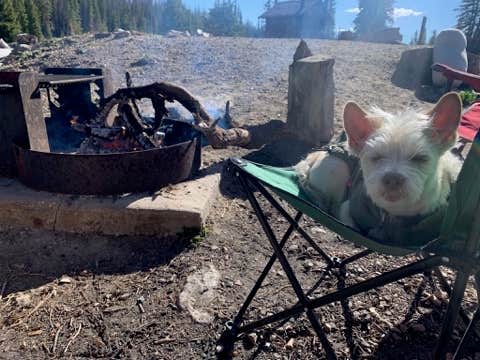 Shelby  N.'s photo of camping with pets at Brooklyn Lake Campground near Centennial, WY