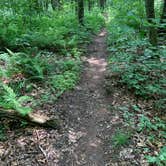 Review photo of French Creek State Park Campground by Tamara P., July 8, 2020