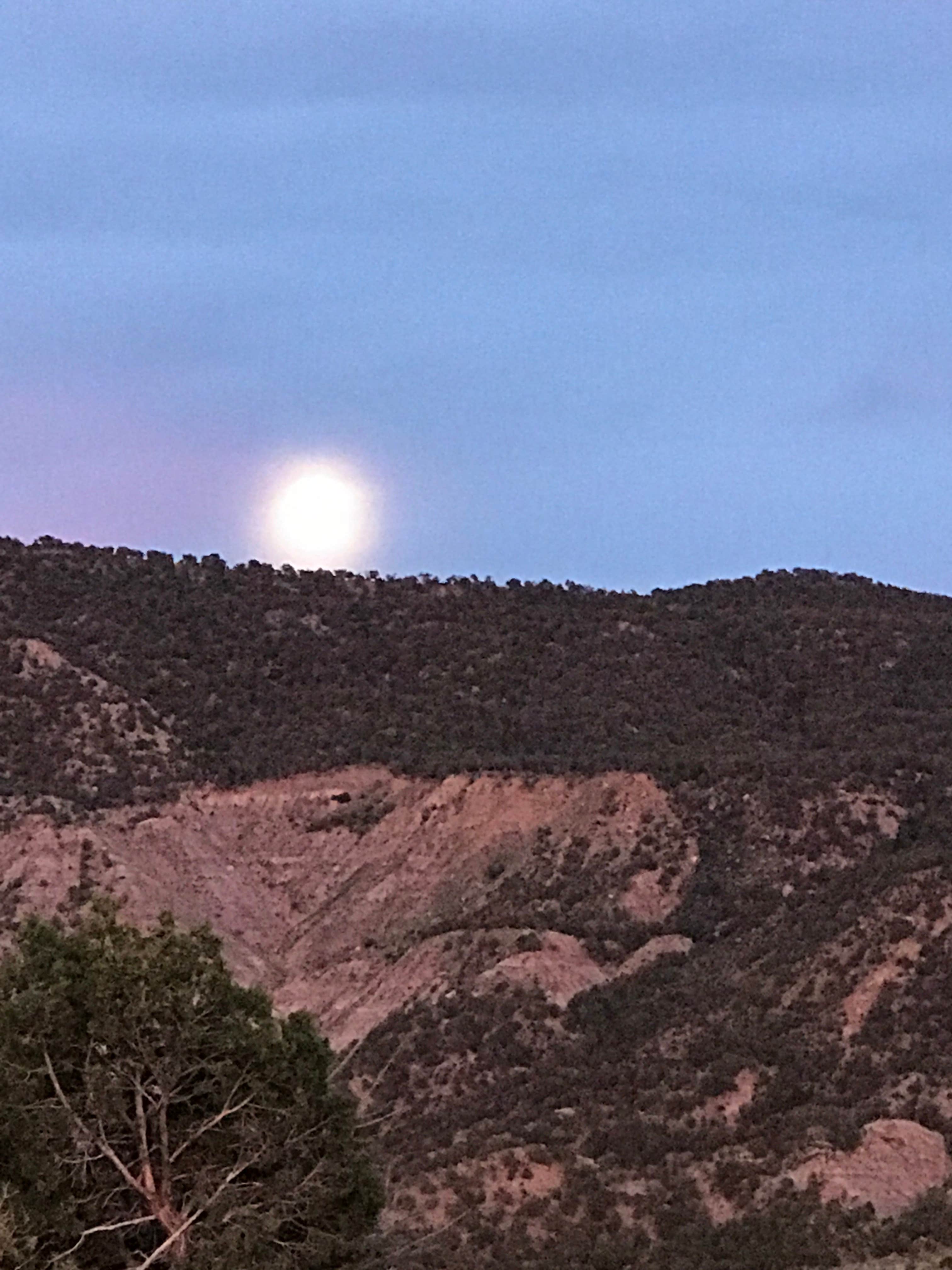 Camper-submitted photo at Rosa Campground — Navajo State Park near Chimney Rock, CO